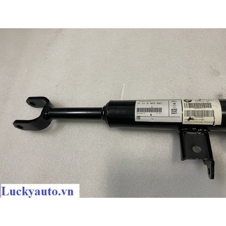 Giảm xóc (phuộc) trước trái xe BMW 520i đời 2014_ 31316863661- 31 31 6 863 661